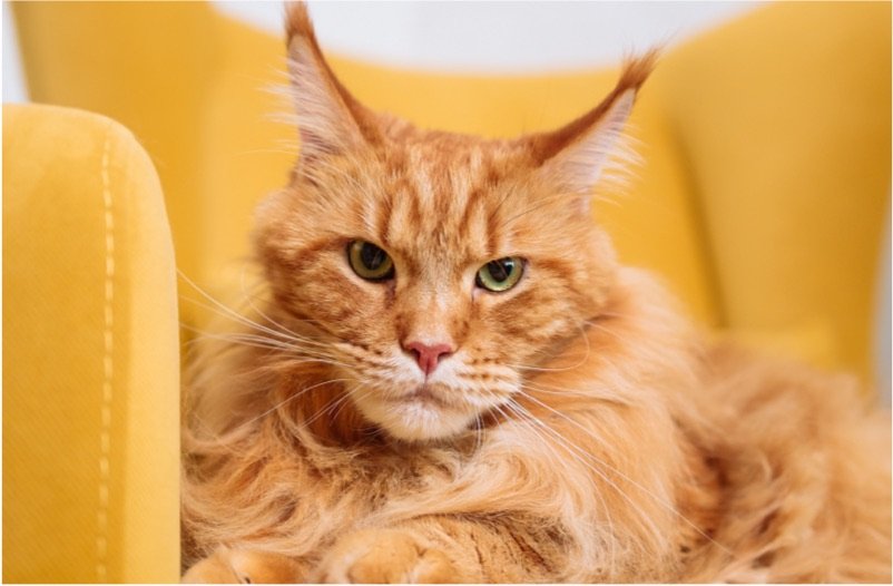 pexels-thirdman-8942601