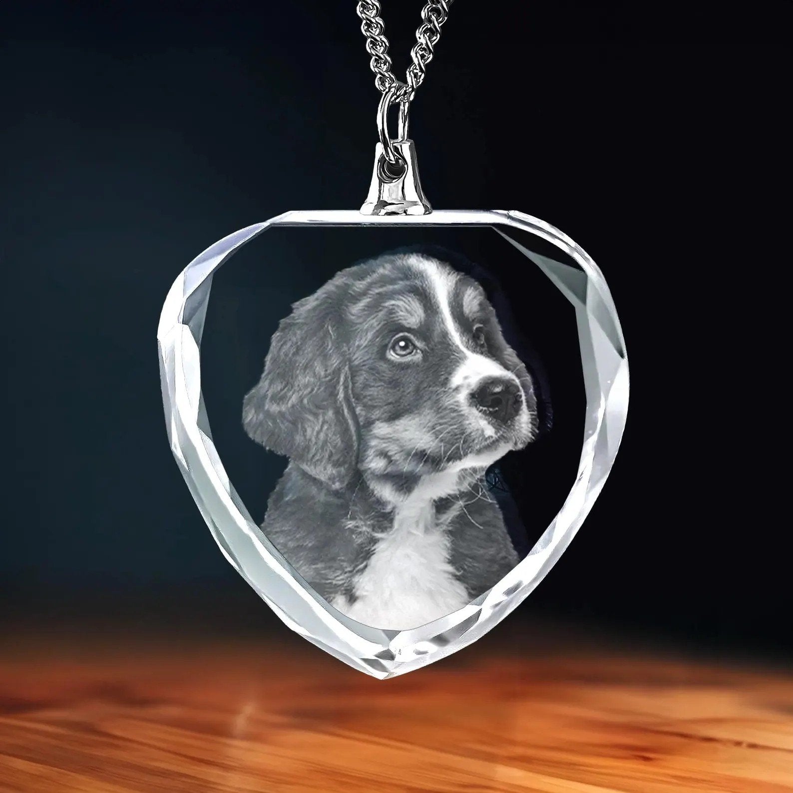 Pet Crystal Necklace_1